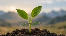 Personal development training